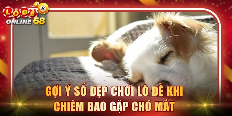 Gợi ý số đẹp chơi lô đề khi chiêm bao gặp chó mất