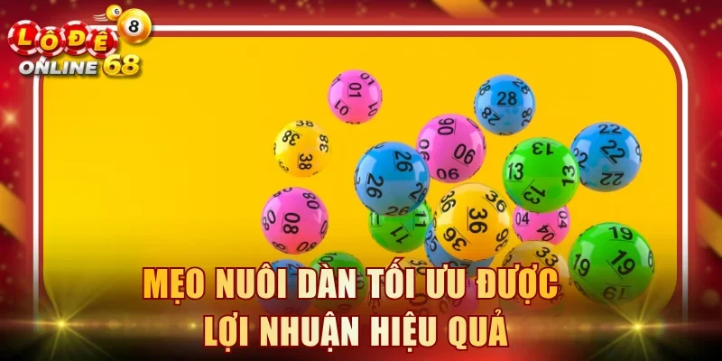 Mẹo nuôi dàn tối ưu được lợi nhuận hiệu quả
