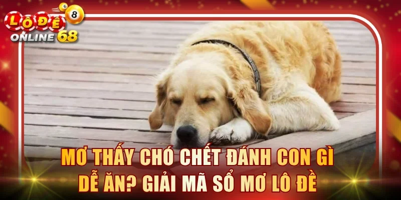 Mơ thấy chó chết